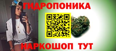 ГАЛЛЮЦИНОГЕННЫЕ ГРИБЫ Новозыбков