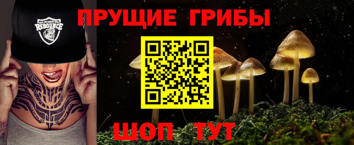 Галлюциногенные грибы ЛСД  Псилоцибиновые грибы прущие грибы  Вход с VPN  Отрадное 